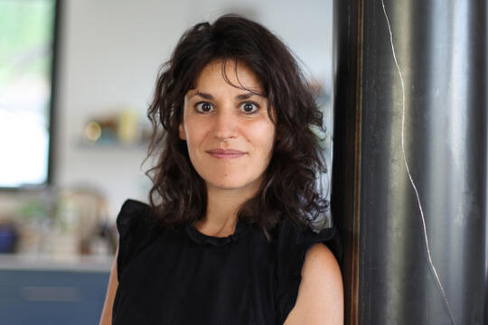 Carine Hazan Vies et survies dElisabeth Halpern Phebus0.jpg