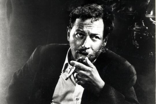 Tennessee Williams Nouvelles de jeunesse Robert Laffont0.jpg