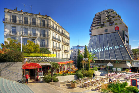 Librairie Sauramps