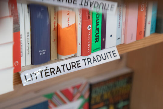 Profession  traducteurs0.jpg