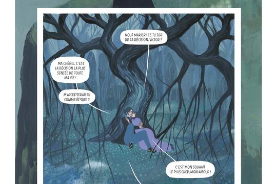 David Sala dapres Mary Shelley Frankenstein Casterman0.jpg