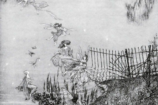 J M Barrie Peter Pan Gallimard0.jpg