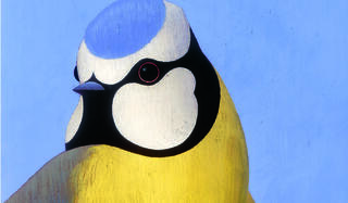 Ronald Curchod Les oiseaux Rouergue0.jpg