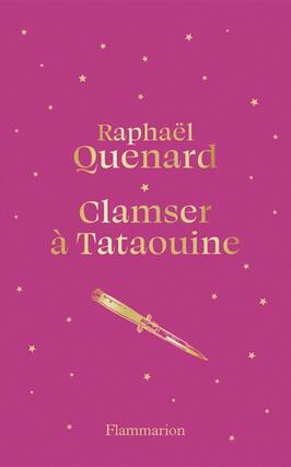 Clamser a Tataouine_Flammarion_9782080140241.jpg