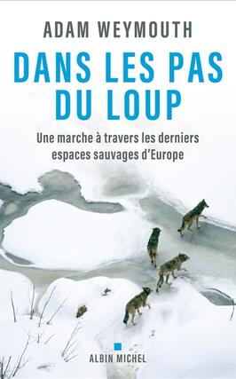 Dans les pas du loup  une marche a travers les d_Albin Michel_9782226493552.jpg