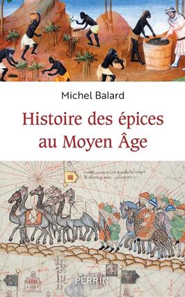 Histoire des epices au Moyen Age_Perrin_9782262101176.jpg