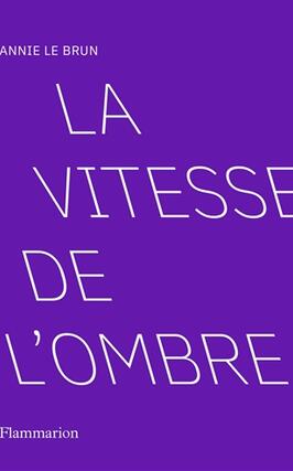 La vitesse de l'ombre.jpg