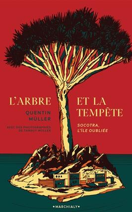 Larbre et la tempete  Socotra lile oubliee_Editions Marchialy_9782381340562.jpg