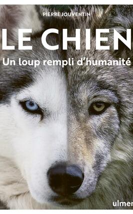 Le chien : un loup rempli d'humanité.jpg
