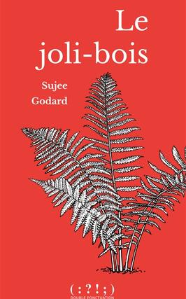 Le jolibois_Double ponctuation_9782490855872.jpg