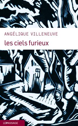 Les ciels furieux_le Passage_9782847425048.jpg