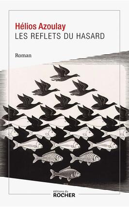 Les reflets du hasard_Rocher_9782268110844.jpg