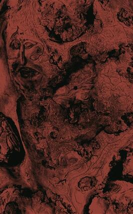 Lisieres_Petrole editions_9791093041087.jpg