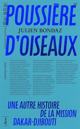 Poussiere doiseaux  une autre histoire de la mi_Ed B42_9782494983281.jpg