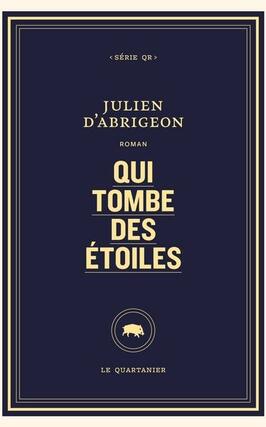 Qui tombe des etoiles_Le Quartanier_9782896987511.jpg