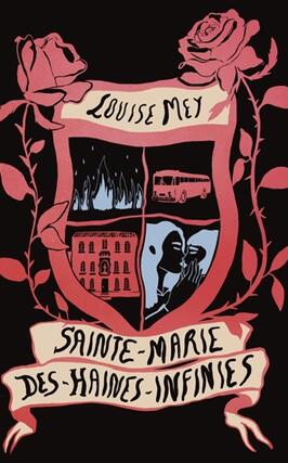 SainteMariedes HainesInfinies_la Ville brule_9782360122394.jpg