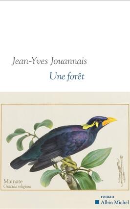 Une foret_Albin Michel_9782226499523.jpg