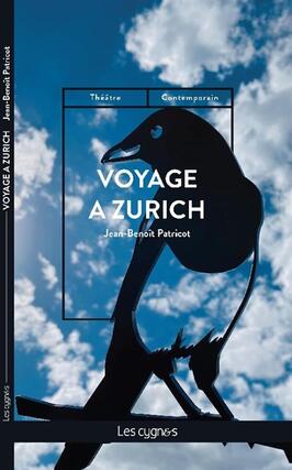 Voyage a Zurich_les Cygnes_9782369443582.jpg