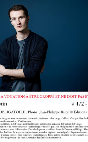 Victor Jestin La mauvaise joueuse Flammarion  0.jpg