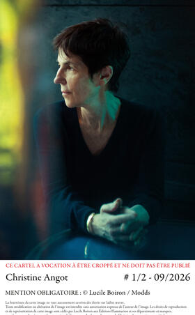 Christine Angot Je change de nom Flammarion0.jpg