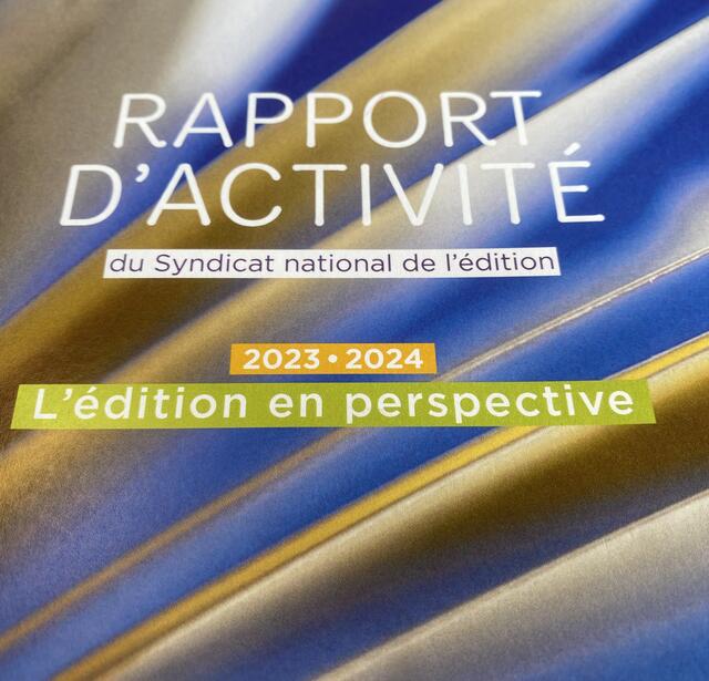 chiffres marché de l'édition françaises