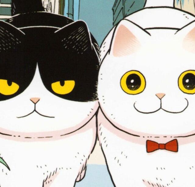 Hachi & Maruru : chats des rues T.1 de Yuri Sonoda