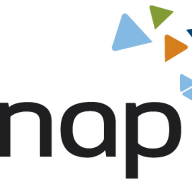 NAP Logo
