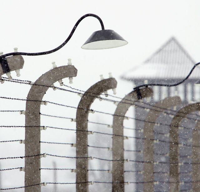 Les barbelés du camp d'Auschwitz photographiés par Sean Gallup (AFP)