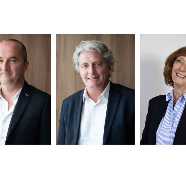 Mechin, Lombard et Kerjan
