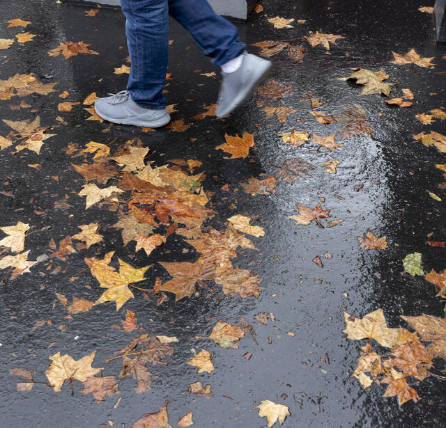 L'automne