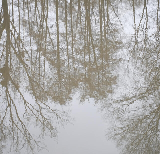 Le marche du livre nature a lheure de la La climatofatigue0.jpg
