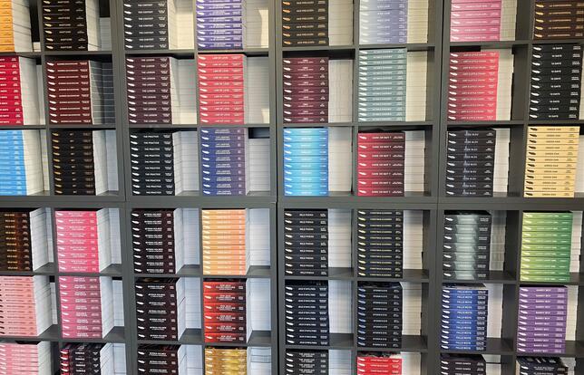 Rayonnage Black Ink éditions