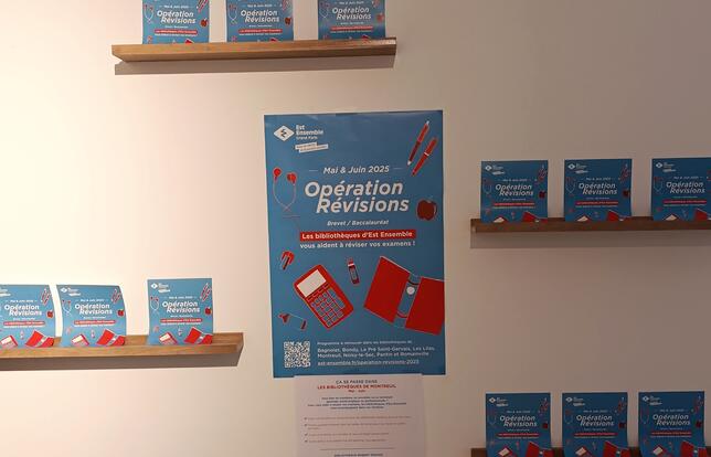 Opération révisions - Bibliothèque Robert Desnos