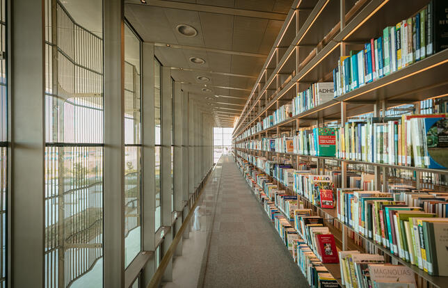a Sharjah la bibliotheque qui valait des milliards3.jpg
