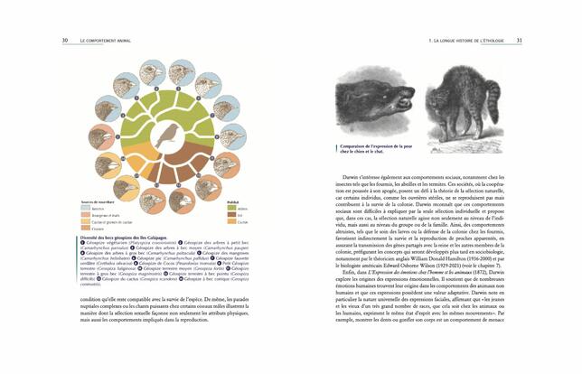 Deux pages de l'ouvrage Le Comportement animal. Éthologie des vertébrés et des invertébrés, à paraître en octobre chez Belin