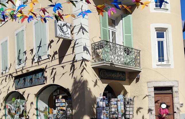 Librairie Les Adventices