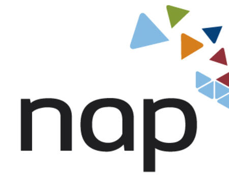 NAP Logo