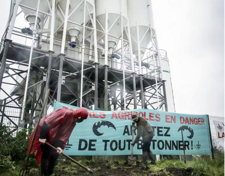 Lea Hobson Desarmer le beton Rehabiter la Terre Zones0.png