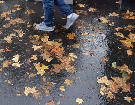 L'automne