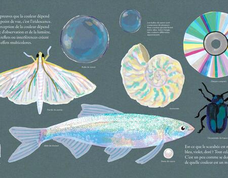 Lea Maupetit Multicolore Un parcours dans le monde de la couleur Gallimard Jeunesse0.jpg