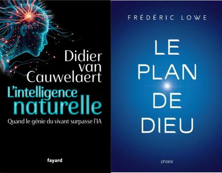 L'Intelligence naturelle de Didier van Cauwelaert, Le plan de dieu de Frédéric Lowe