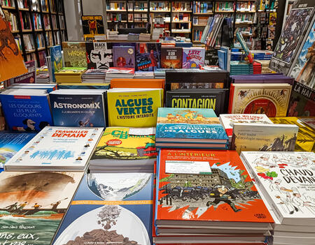 Une table de bandes dessinées à la librairie Le Divan, dans le XVe arrondissement de Paris