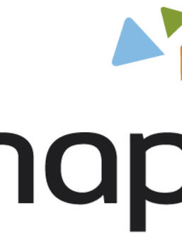 NAP Logo