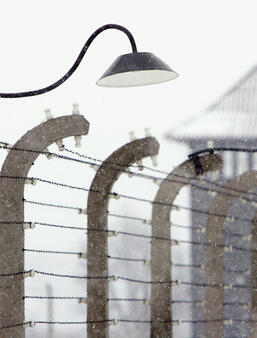 Les barbelés du camp d'Auschwitz photographiés par Sean Gallup (AFP)