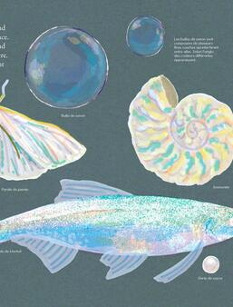 Lea Maupetit Multicolore Un parcours dans le monde de la couleur Gallimard Jeunesse0.jpg