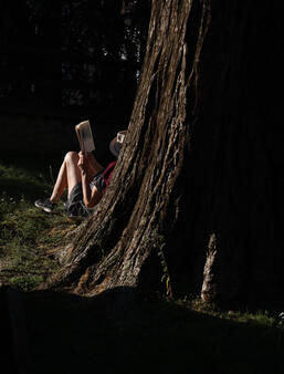 Une lectrice au pied d'un arbre