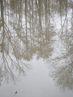 Le marche du livre nature a lheure de la La climatofatigue0.jpg