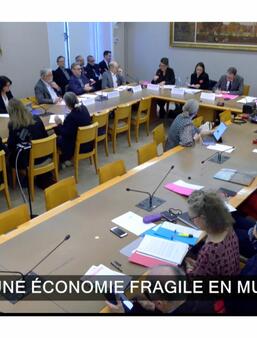 Capture d'écran de la retransmission visioconférence de la table ronde consacrée au thème « Le livre : une économie fragile en mutation ? »