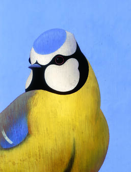 Ronald Curchod Les oiseaux Rouergue0.jpg