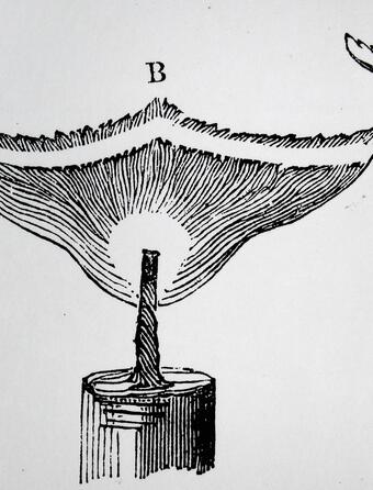 Comment reussir lanniversaire de sa maison dedition 0.jpg